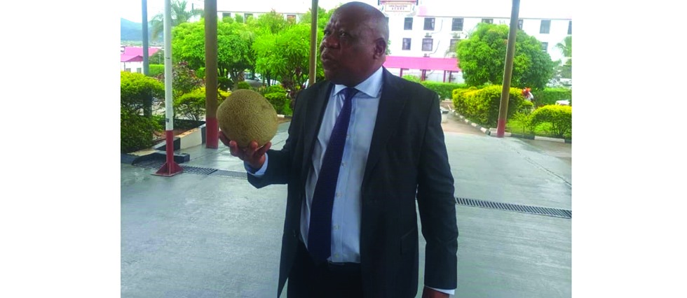 Government fast-tracks reintegration of youth returnees.