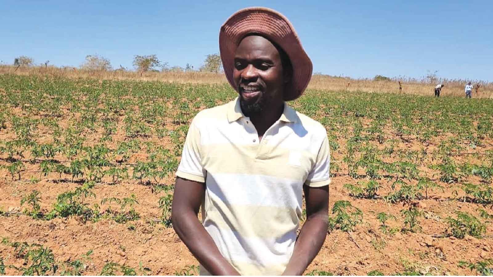 Marketing graduate is cultivating new vision in Zim’s agriculture sector.