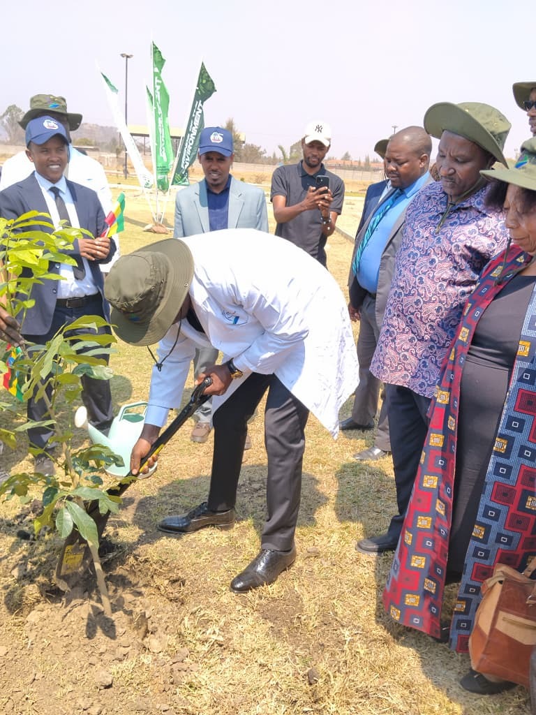 Zimbabwe, Ethiopia youth unite for greener Africa.